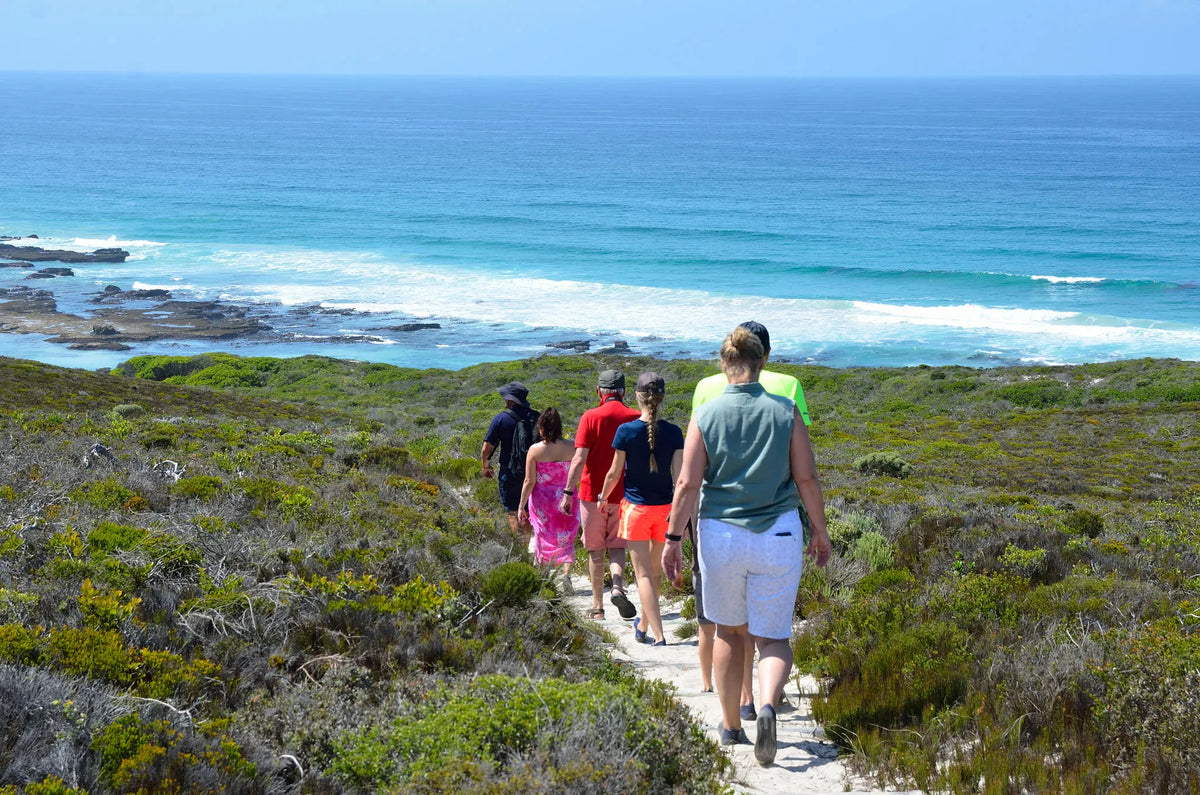 Fynbos walks