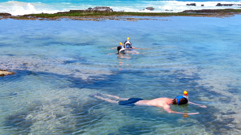 Morukuru Beach Lodge - snorkeling at Morukuru Beach Lodge, De Hoop Nature Reserve, South Africa.