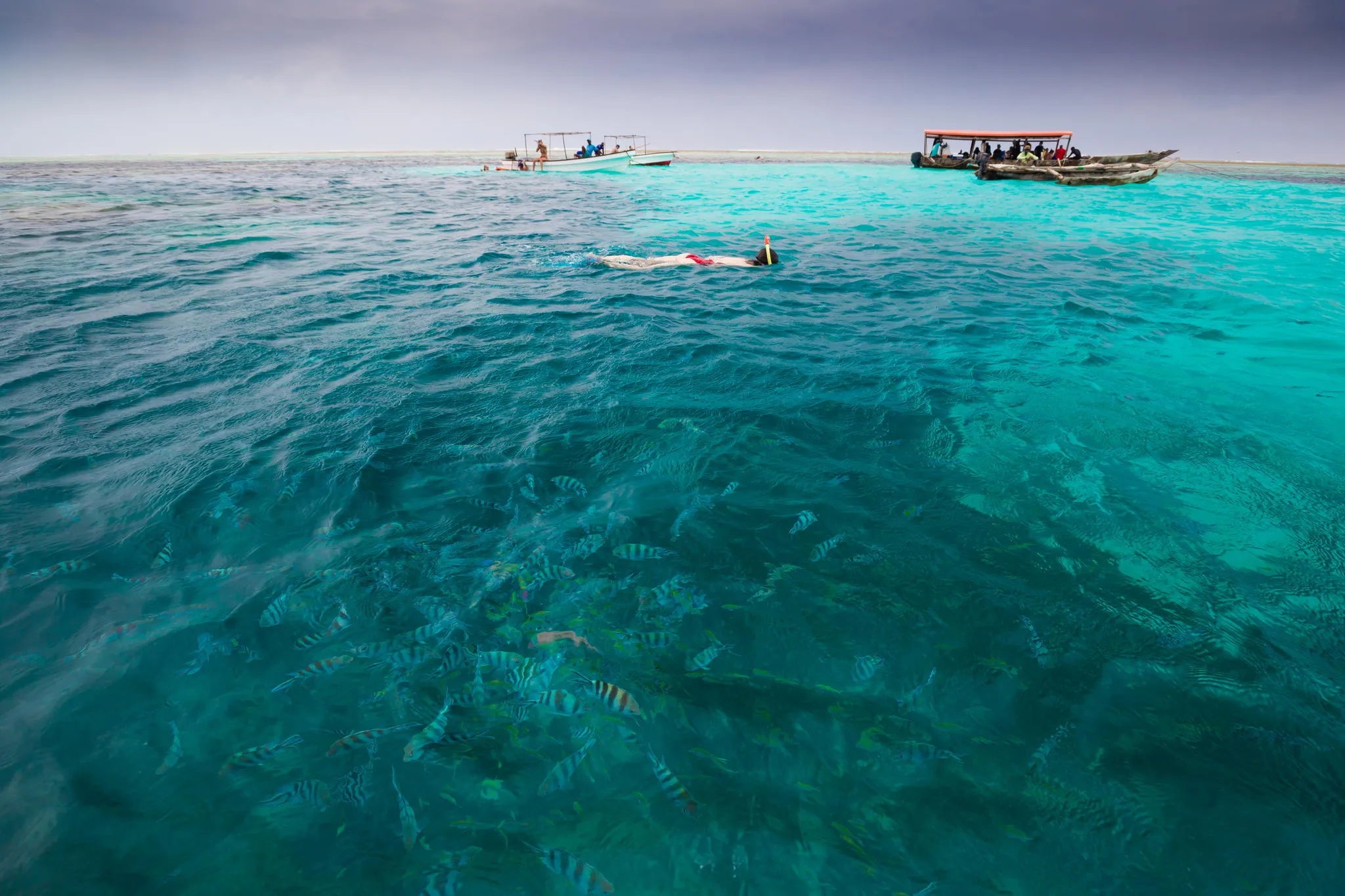 Deep Sea Fishing