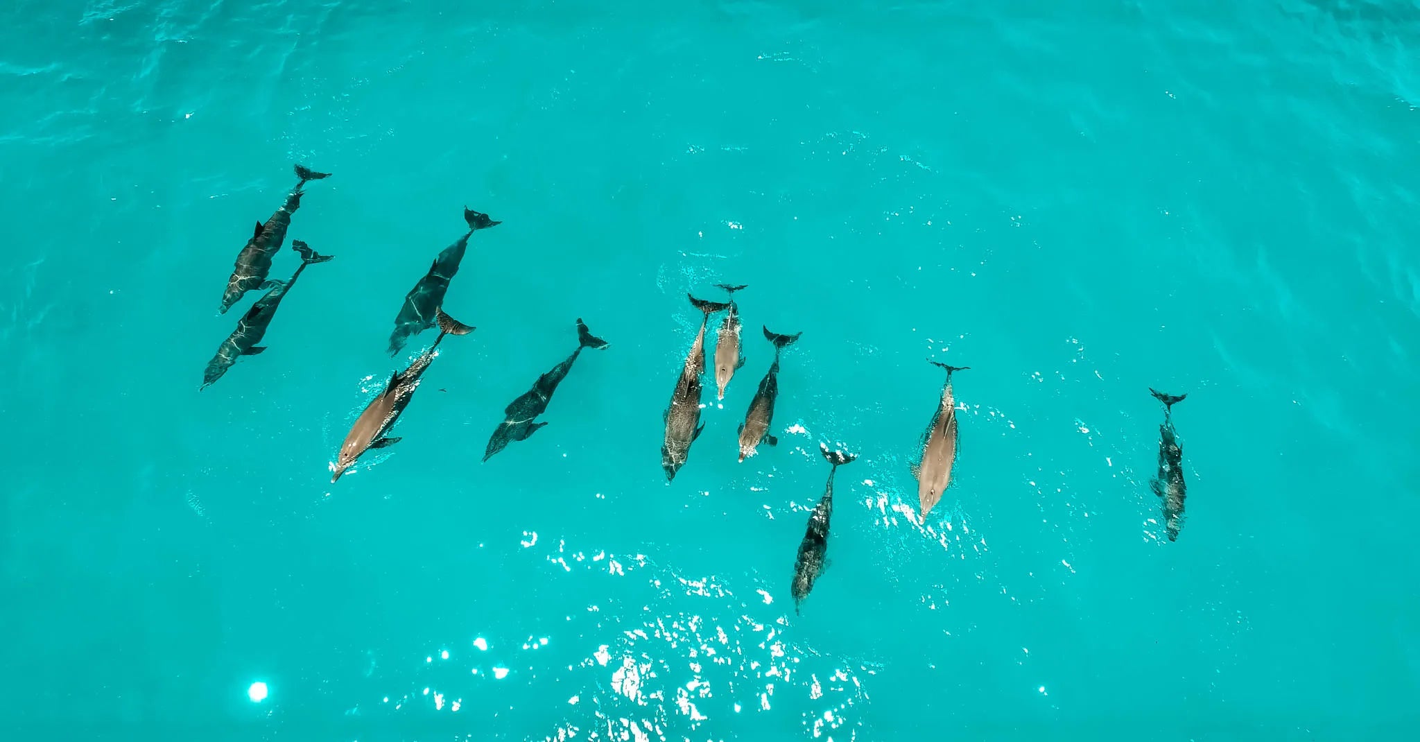 Diving