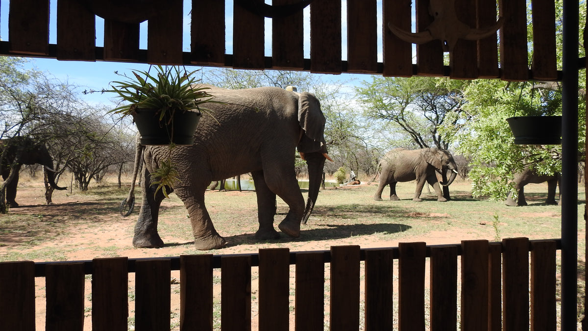 Marulani Bush Lodge