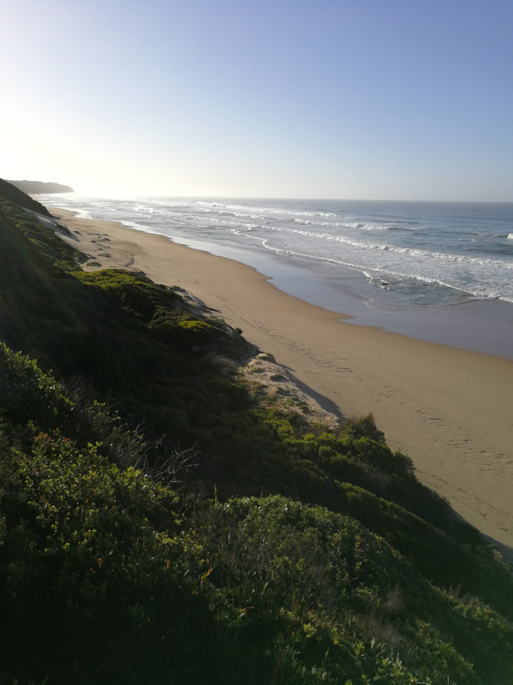 Wilderness Ocean Guesthouse