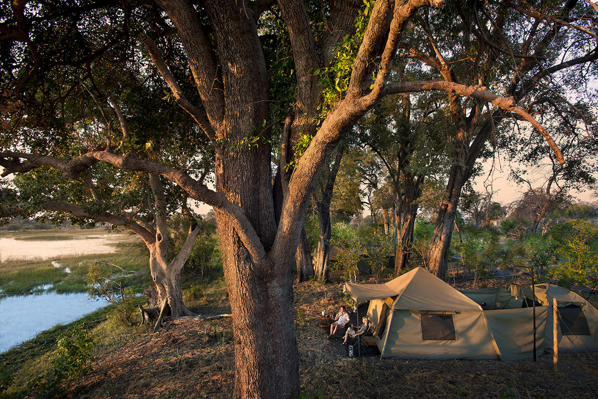 Superior Delta Safari Okavango Delta Camp (Moremi)