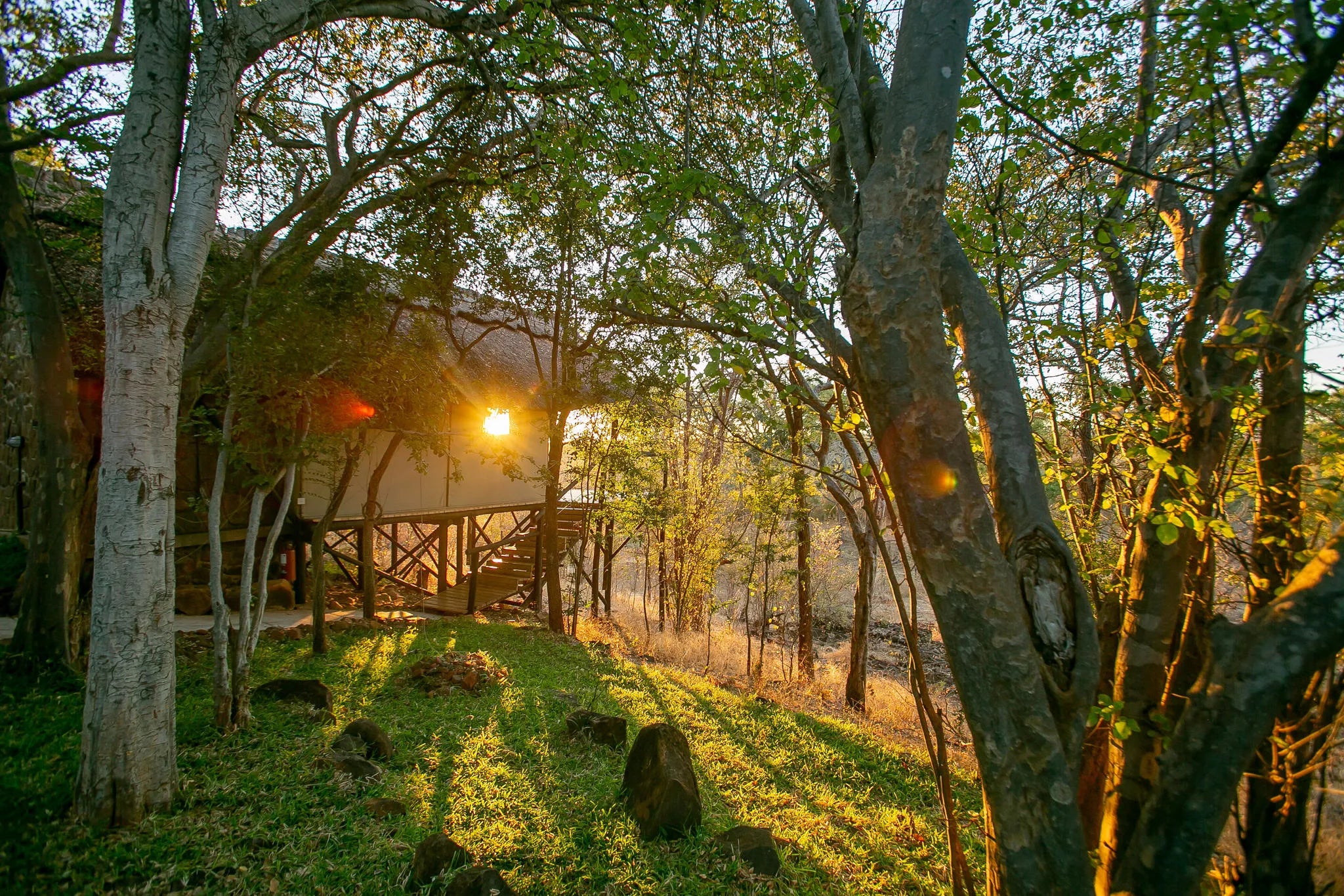 Wilderness Chalets