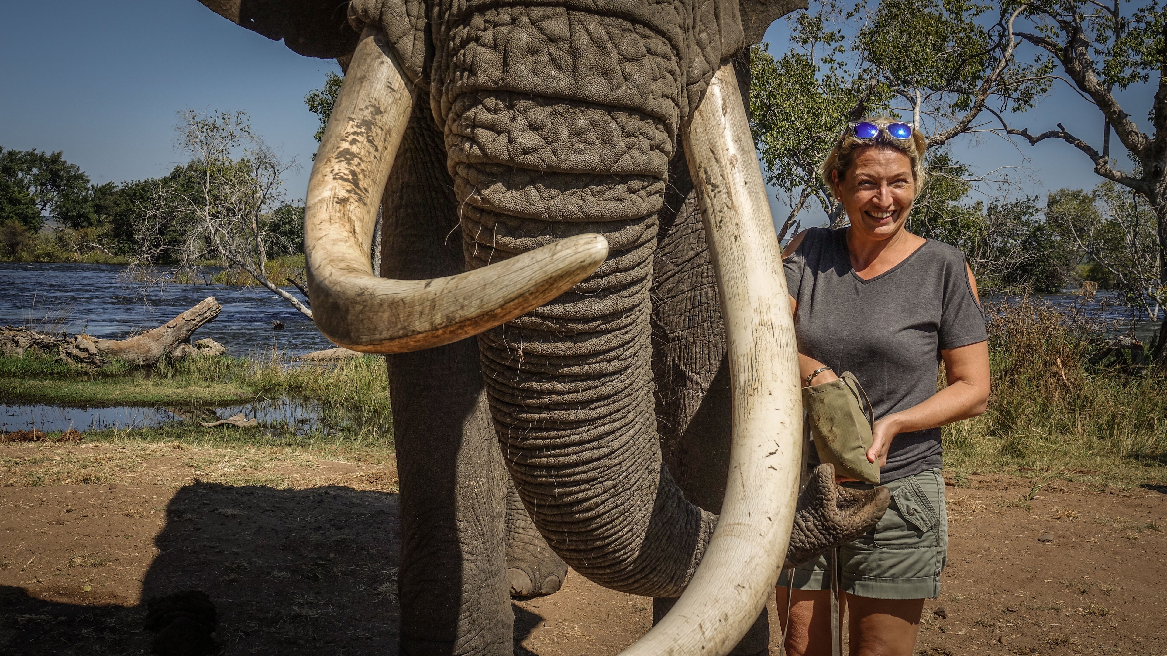 Elephant Interaction