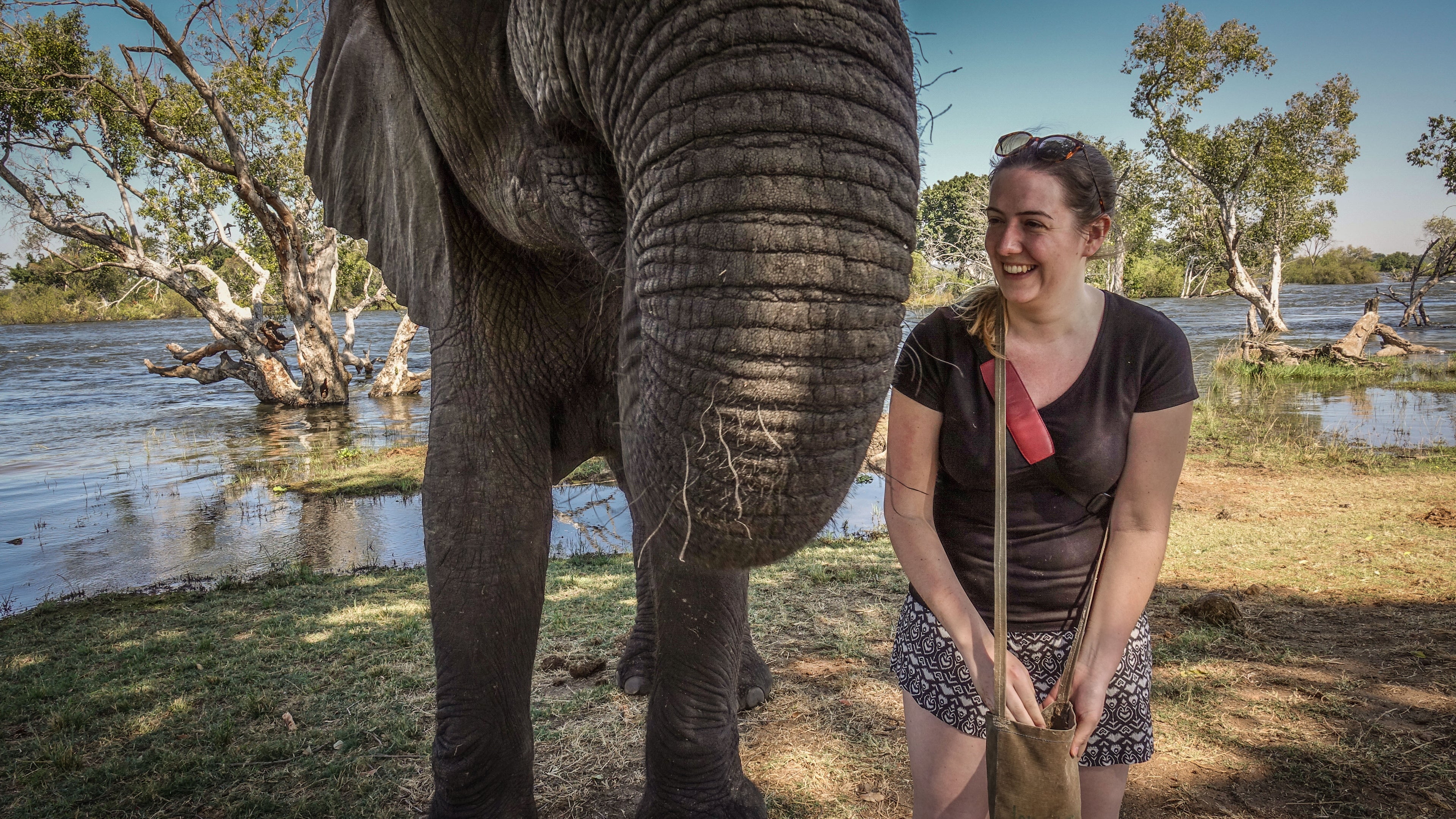 Elephant Interaction