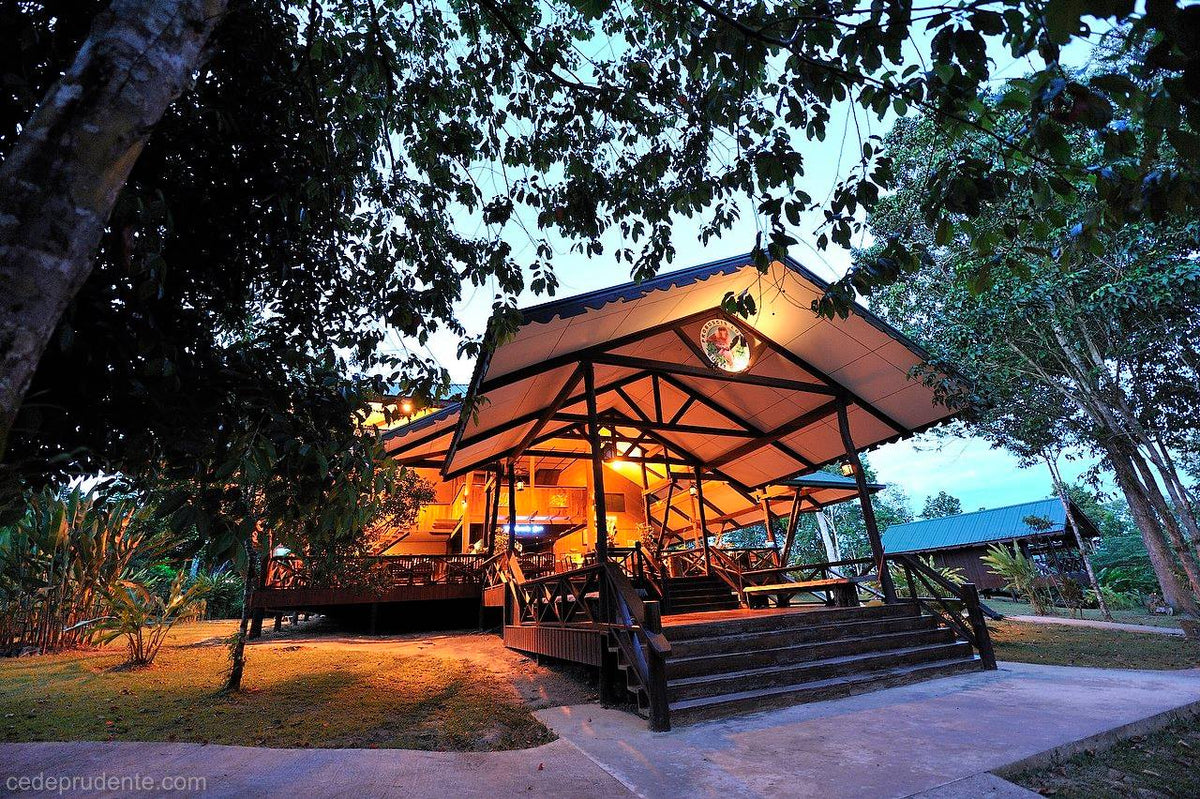Proboscis Lodge Bukit Melapi