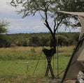 Great Migration Camps - Ablutions, wash basin