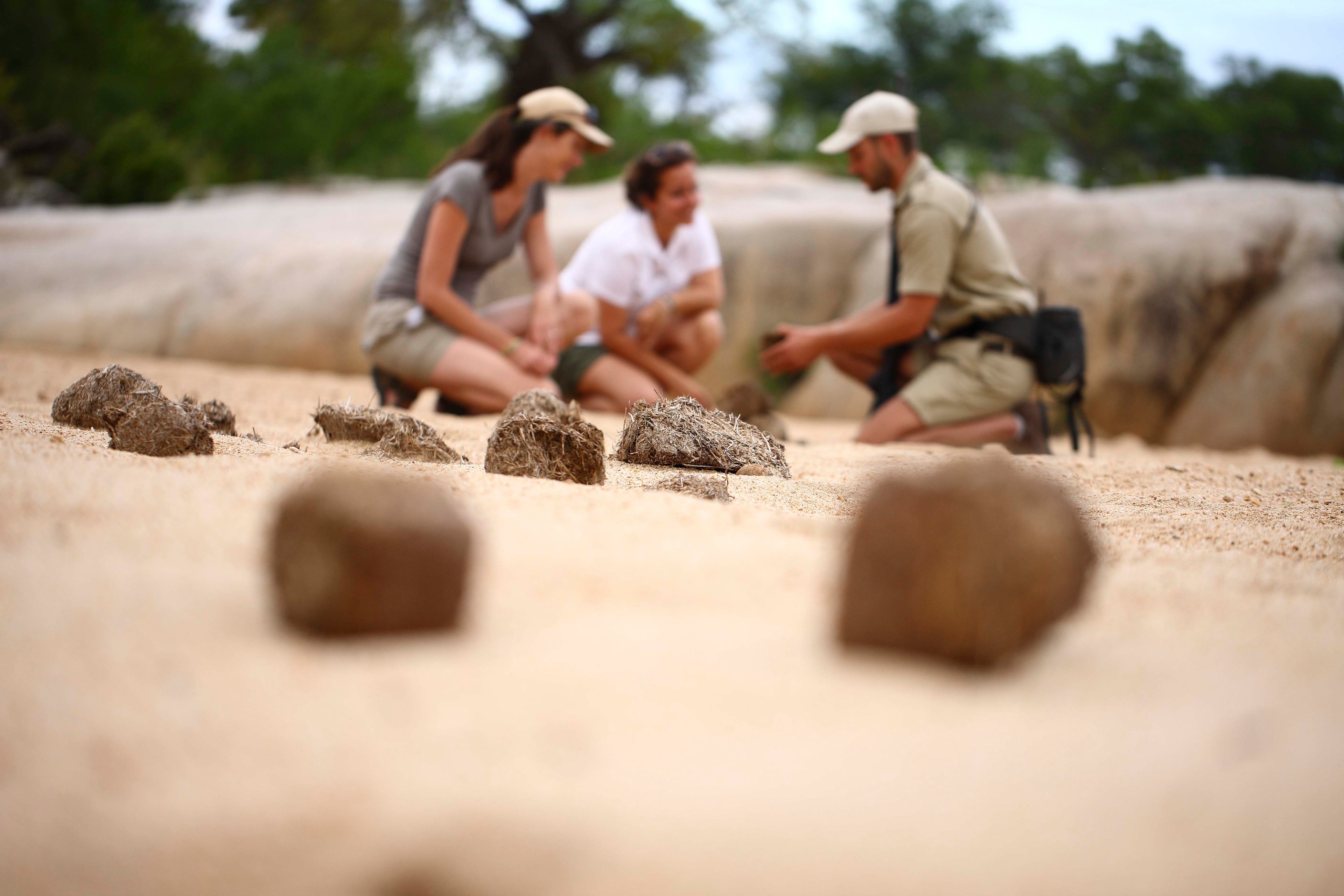 Dulini River - Walking Safari