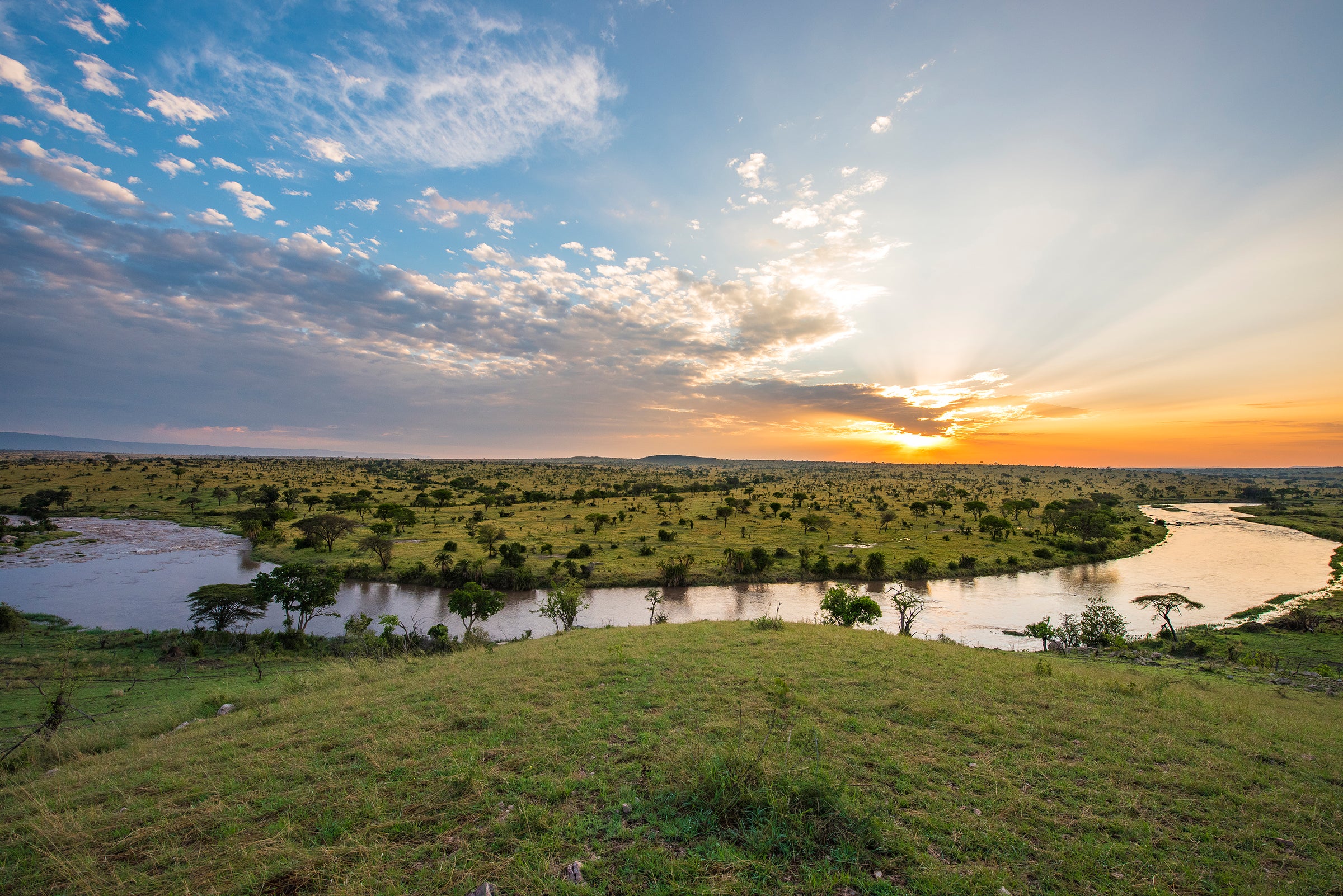 Mara River Post