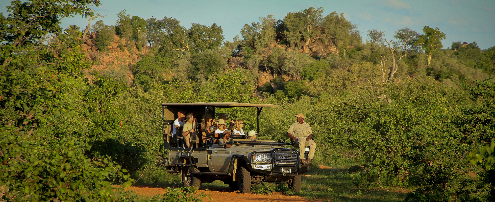 Guided Game Drives, Walks and Cycling 