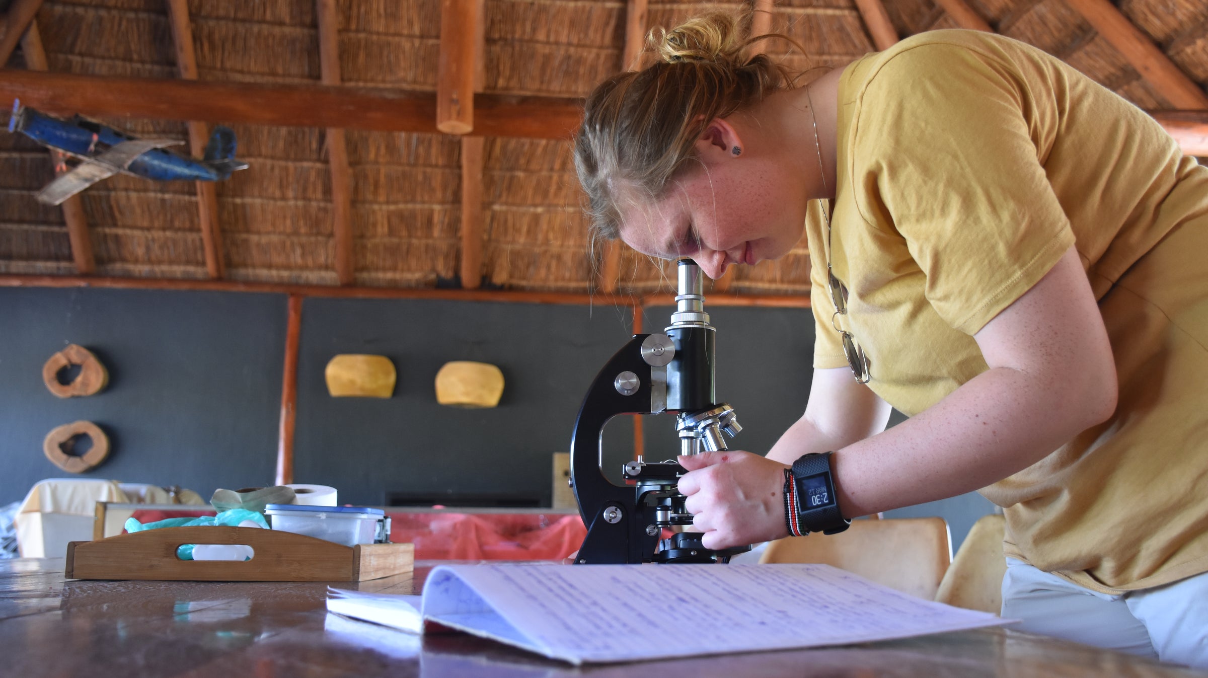 Koro Wildlife Research