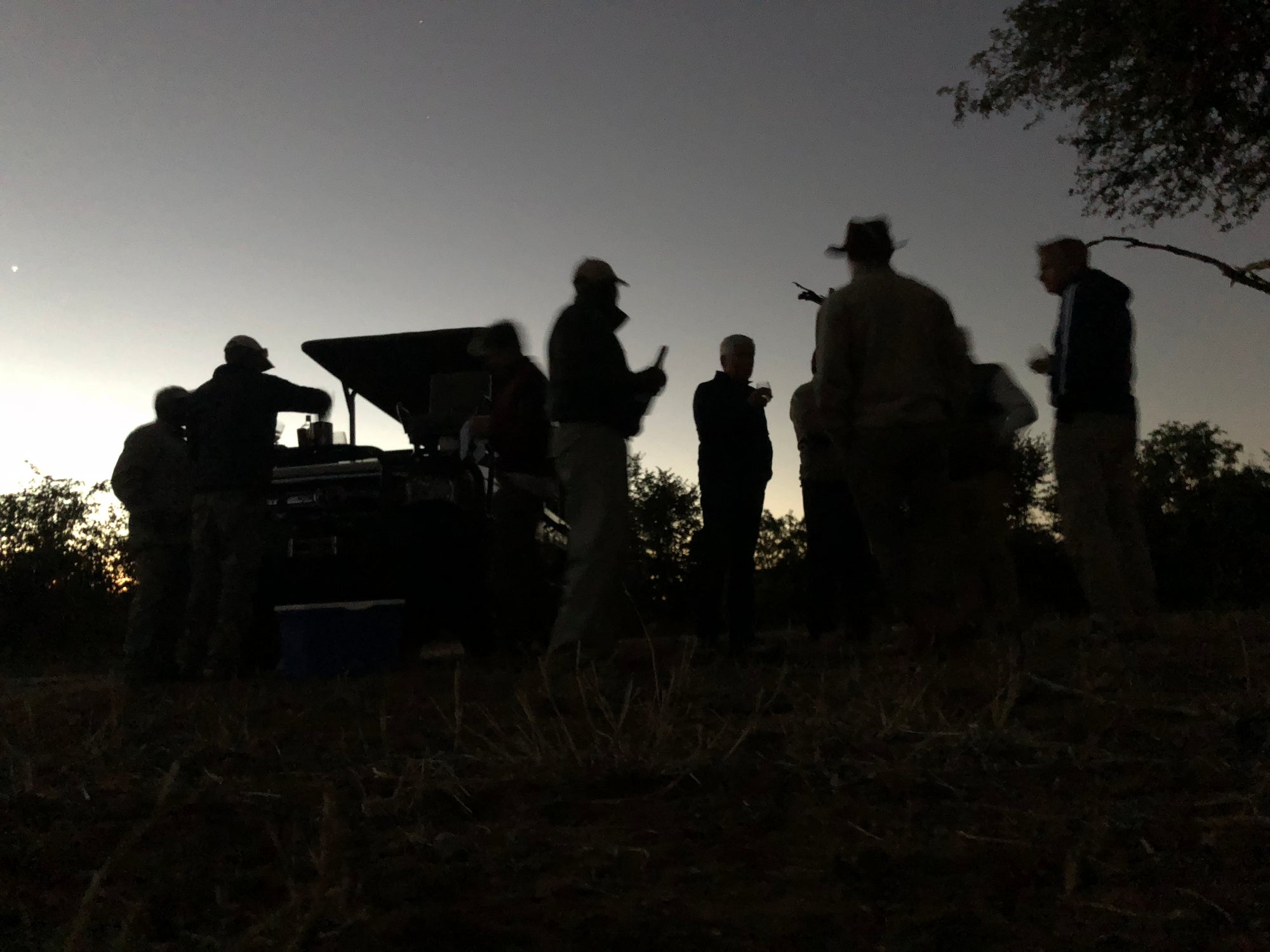 Guided Game Drives, Walks and Cycling 