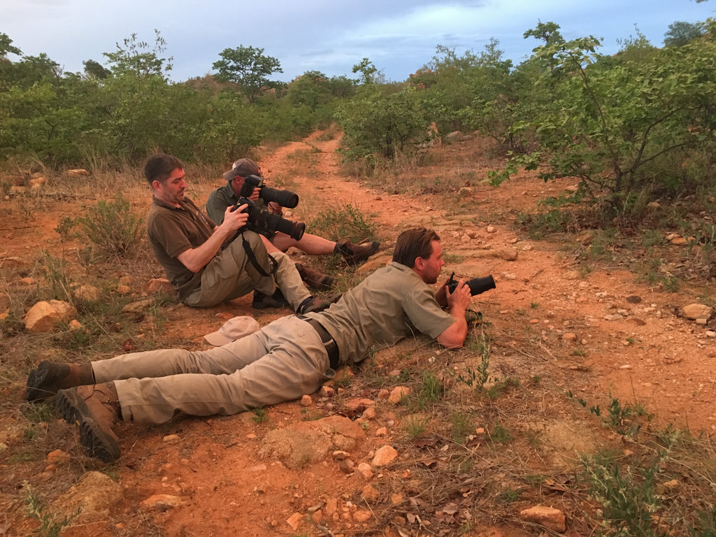 Koro Wildlife Research