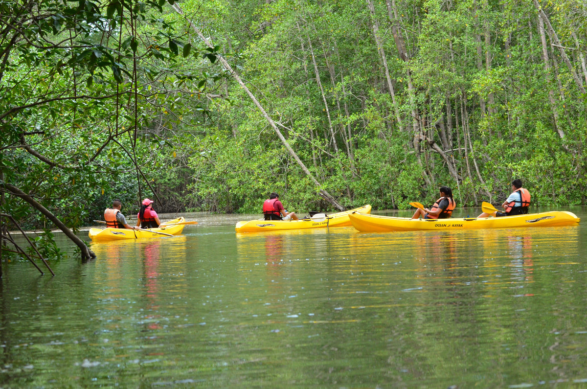 Tucanes Tours Damas Island Kayaking
