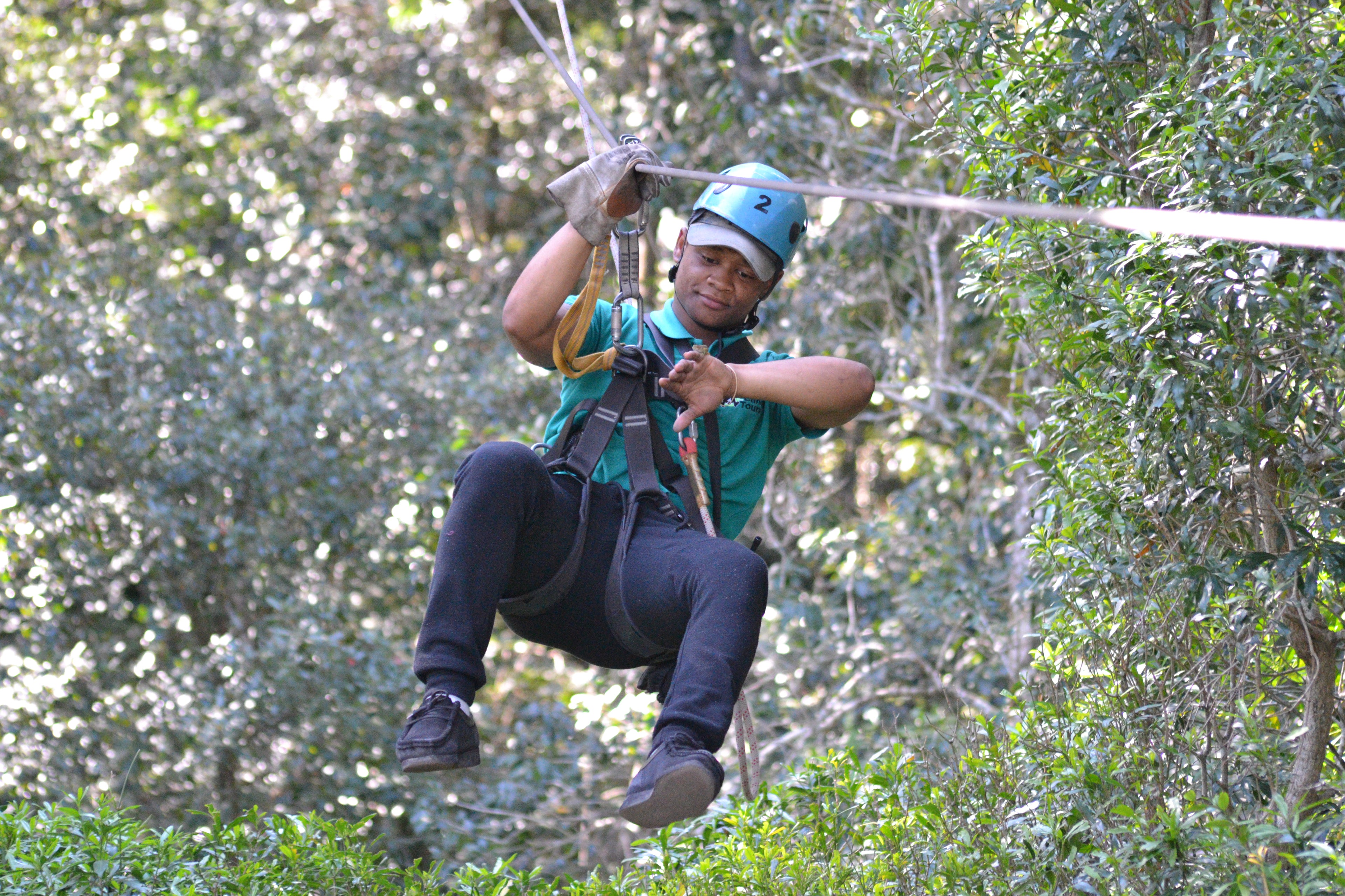 Tsitsikamma Canopy Tours