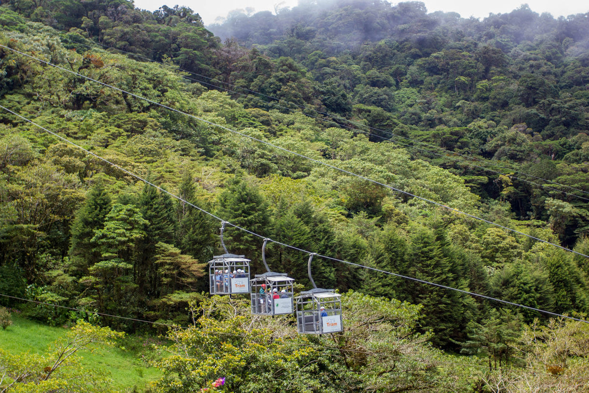 Sky Adventures Monteverde Park Sky Tram