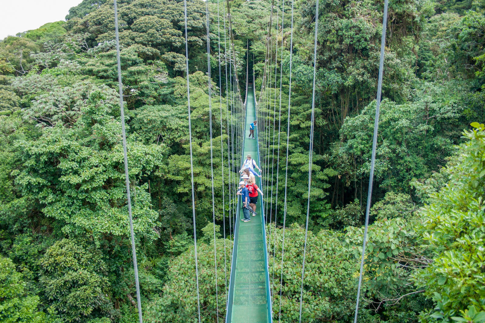 Monteverde