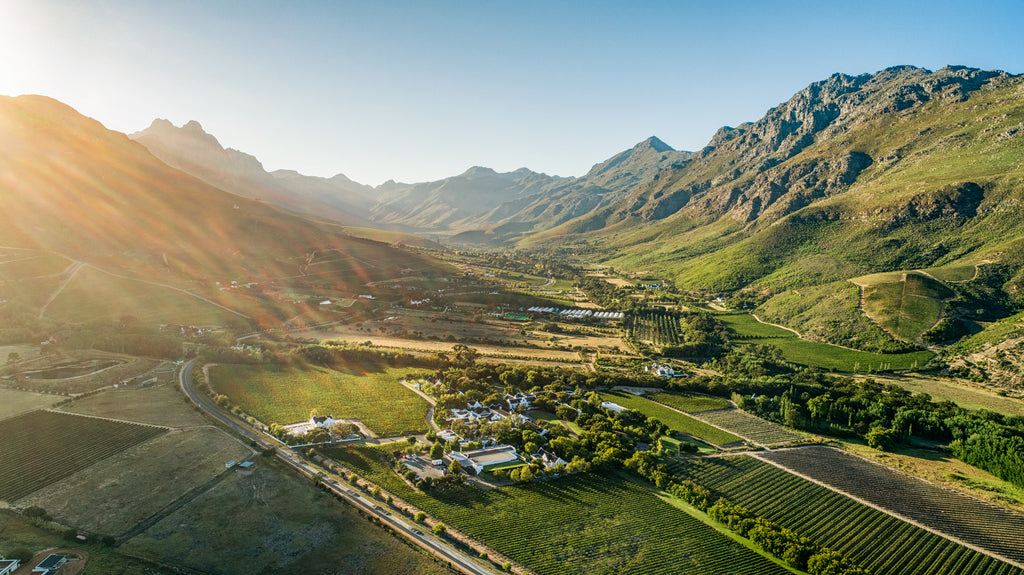 Aerial view of the Estate