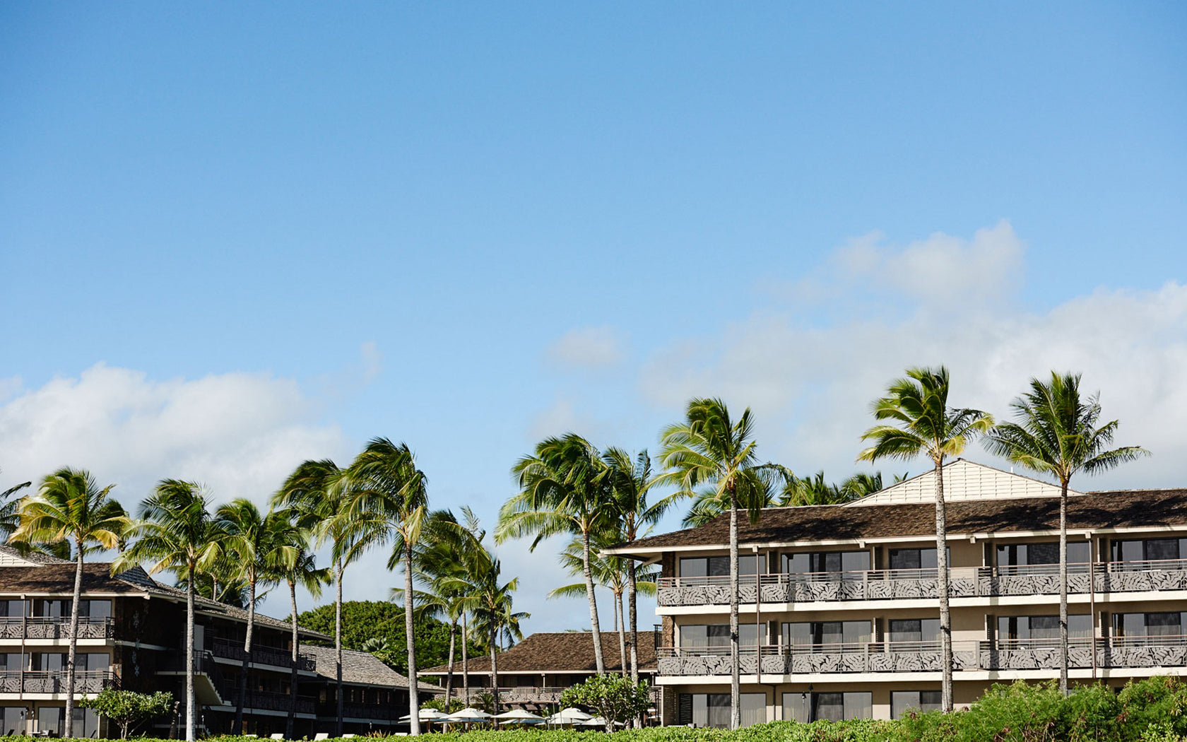 Koloa