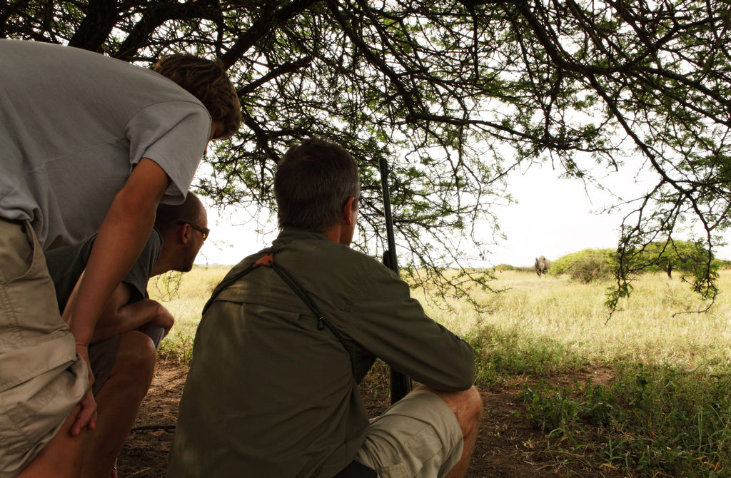 Rhino Tracking On Foot (additional cost)