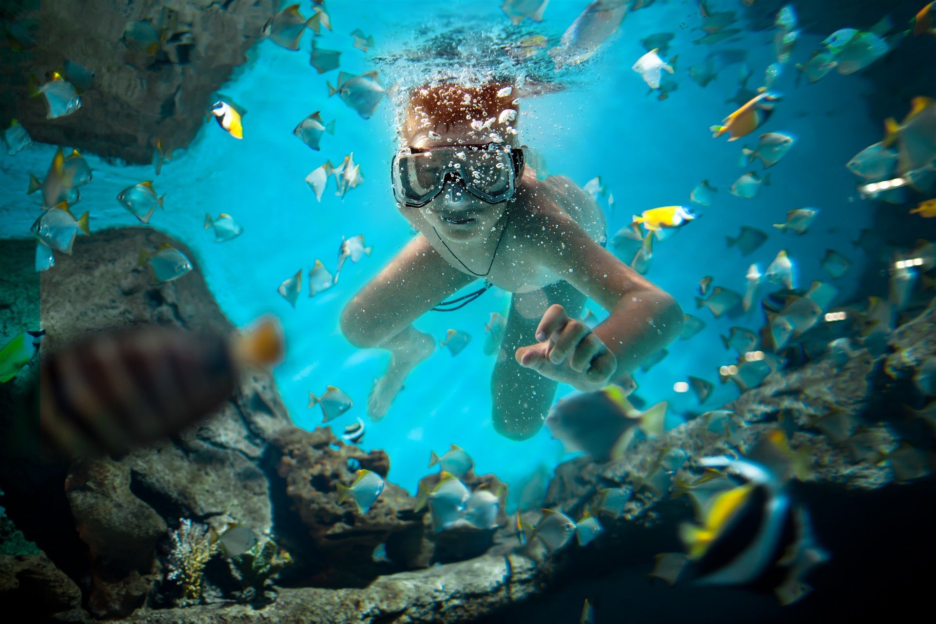 Ocean safari (additional cost)