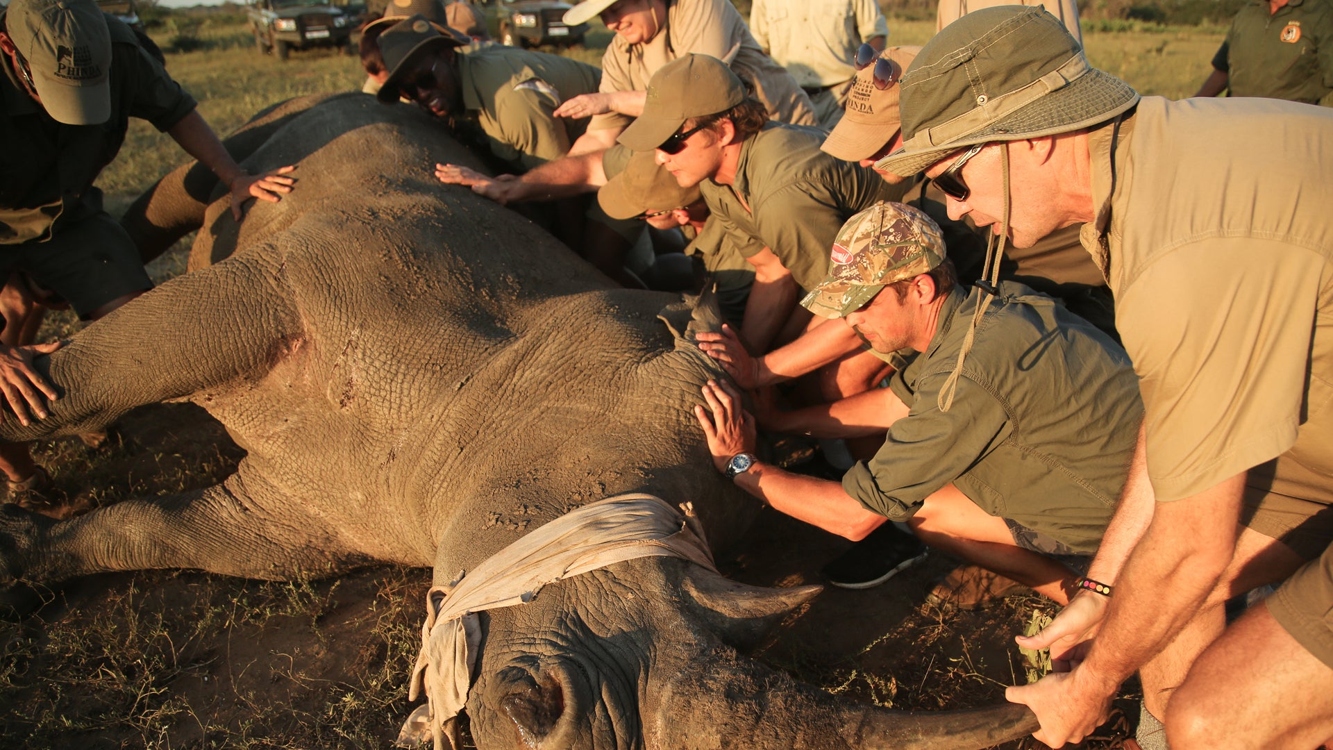 Rhino Conservation Experience (additional cost)