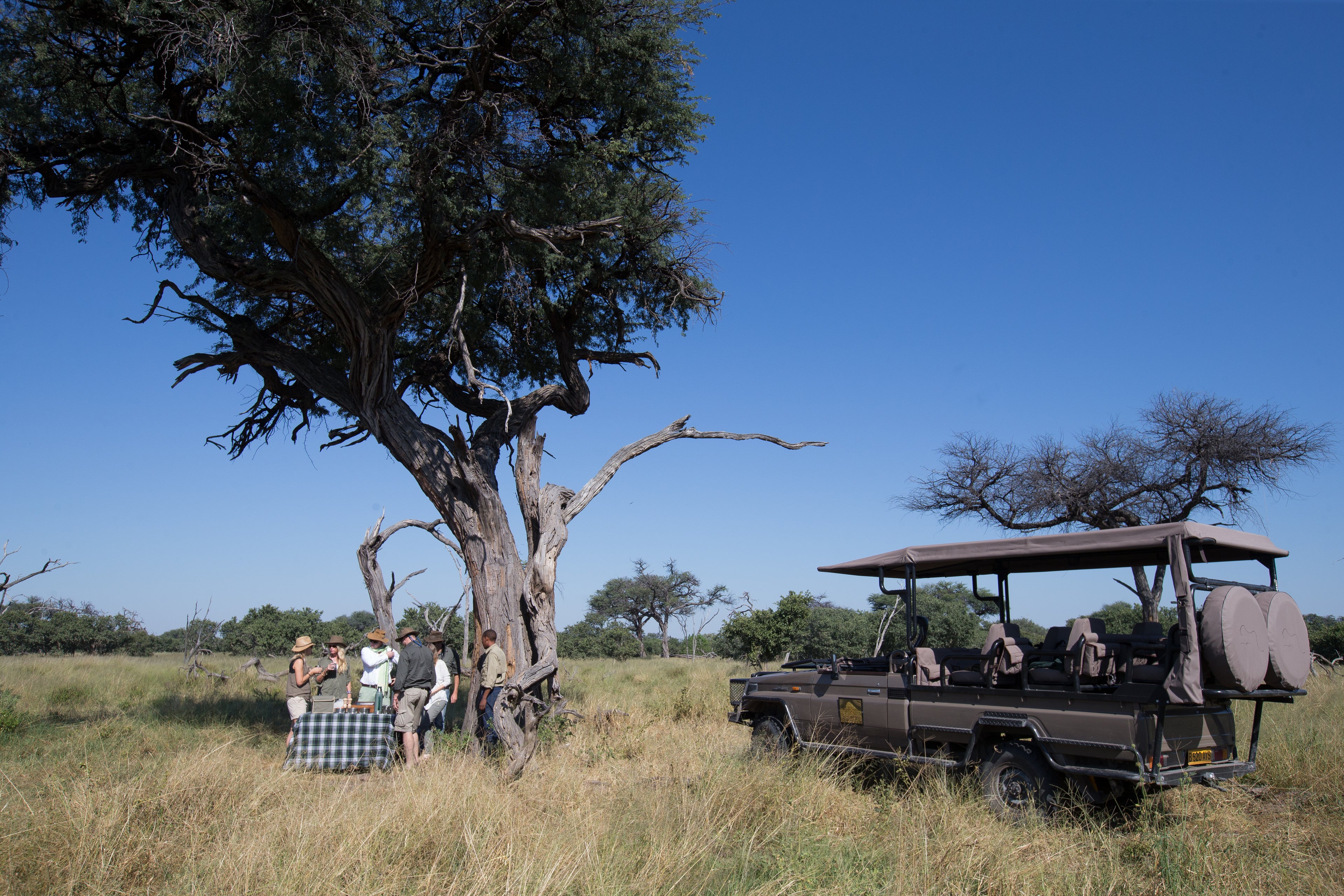 Golden Africa Luxury Mobile Camp Nxai Pan