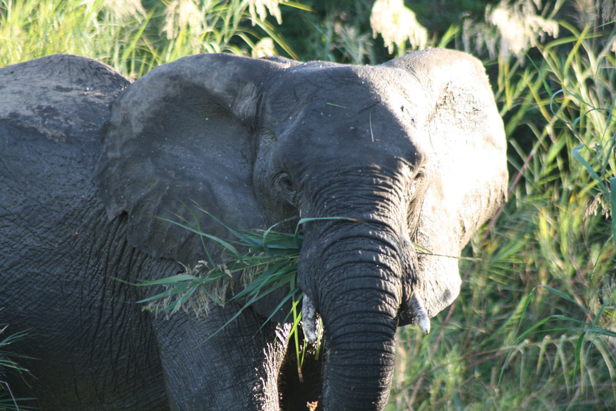 Olifants River Lodge & Safaris