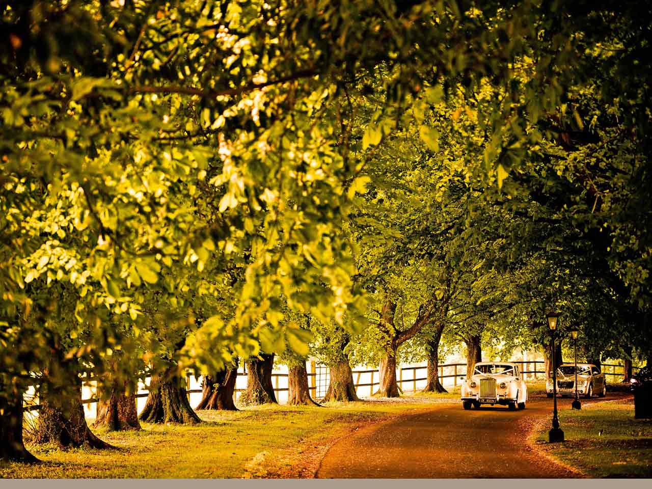 Waterford Castle Hotel & Golf Resort
