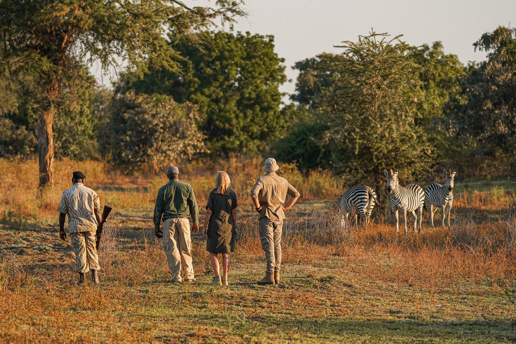 Optional Walking Safaris