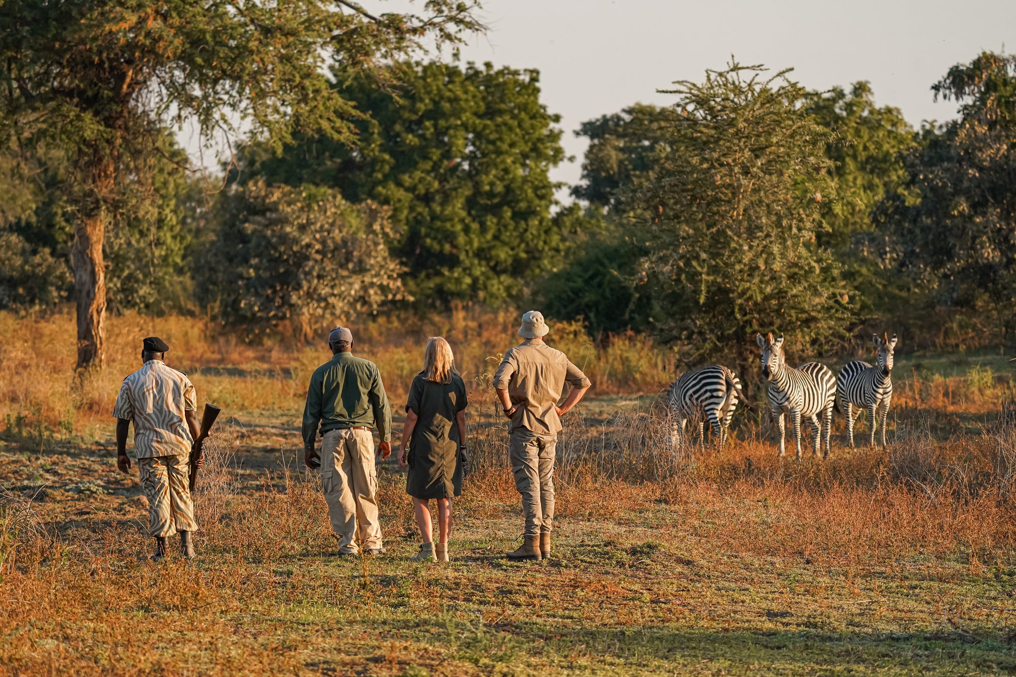 Optional Walking Safaris