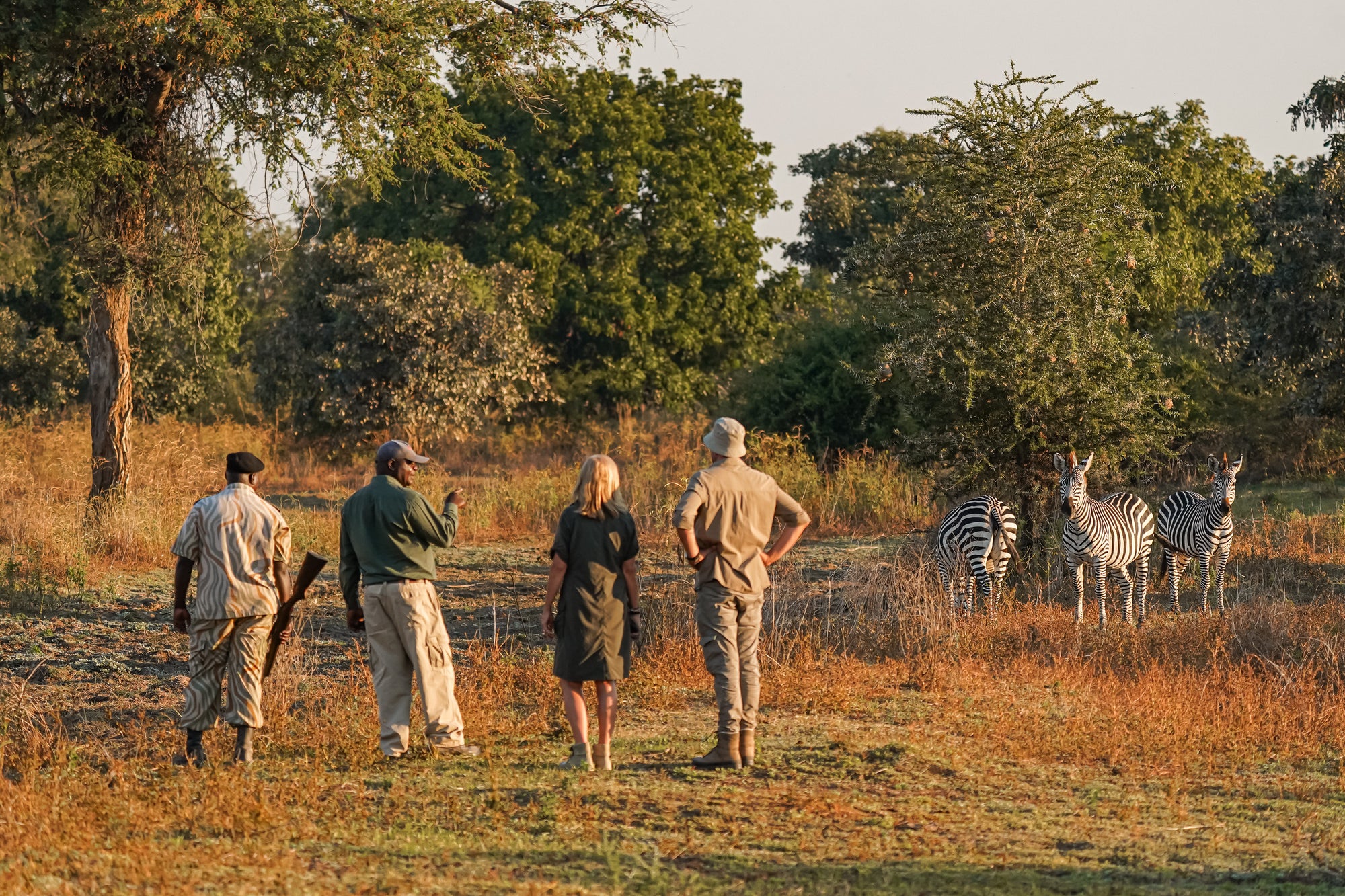 Optional Walking Safaris