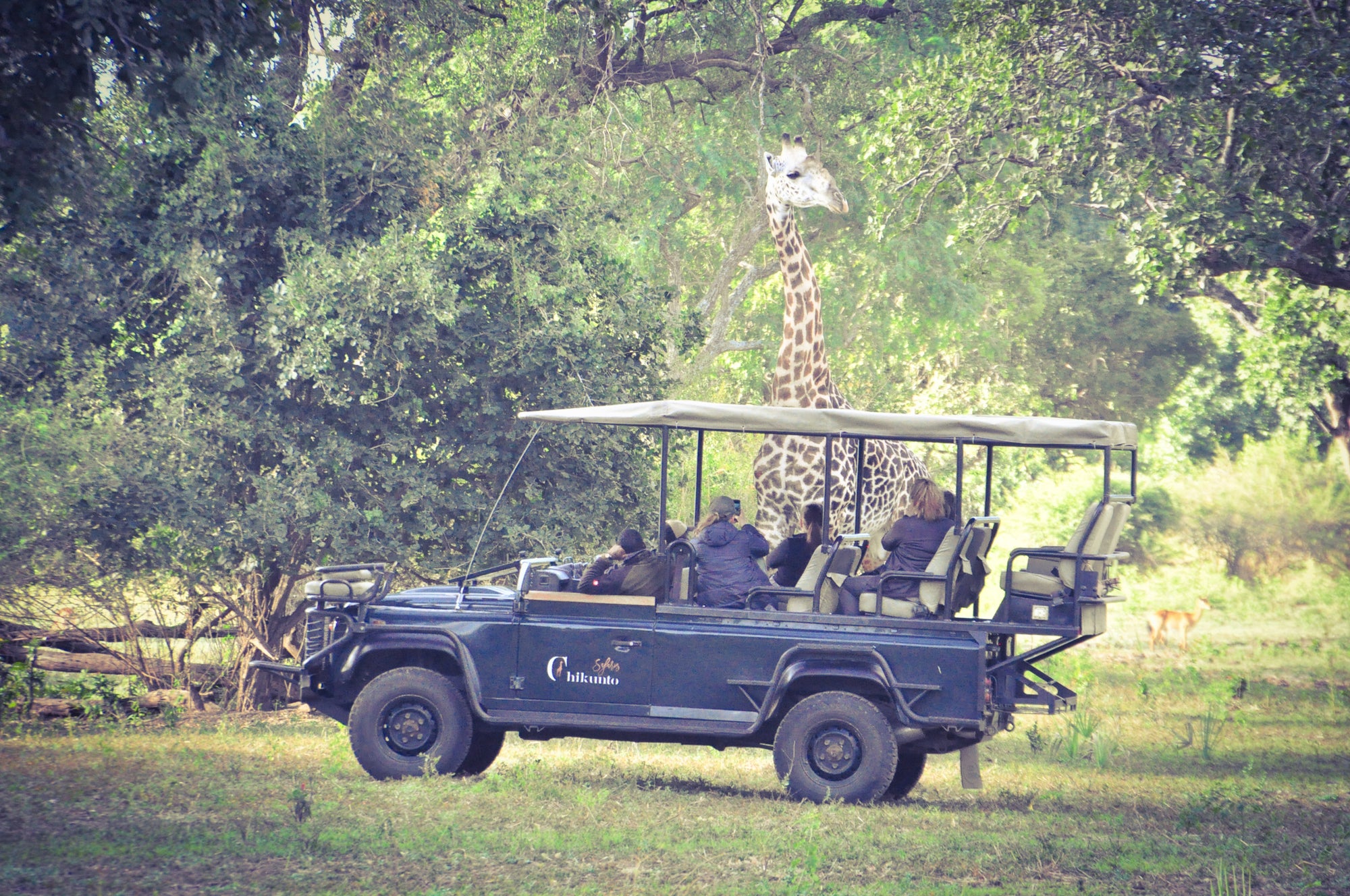 Afternoon Game Drive followed by Sundowner time and Night drive