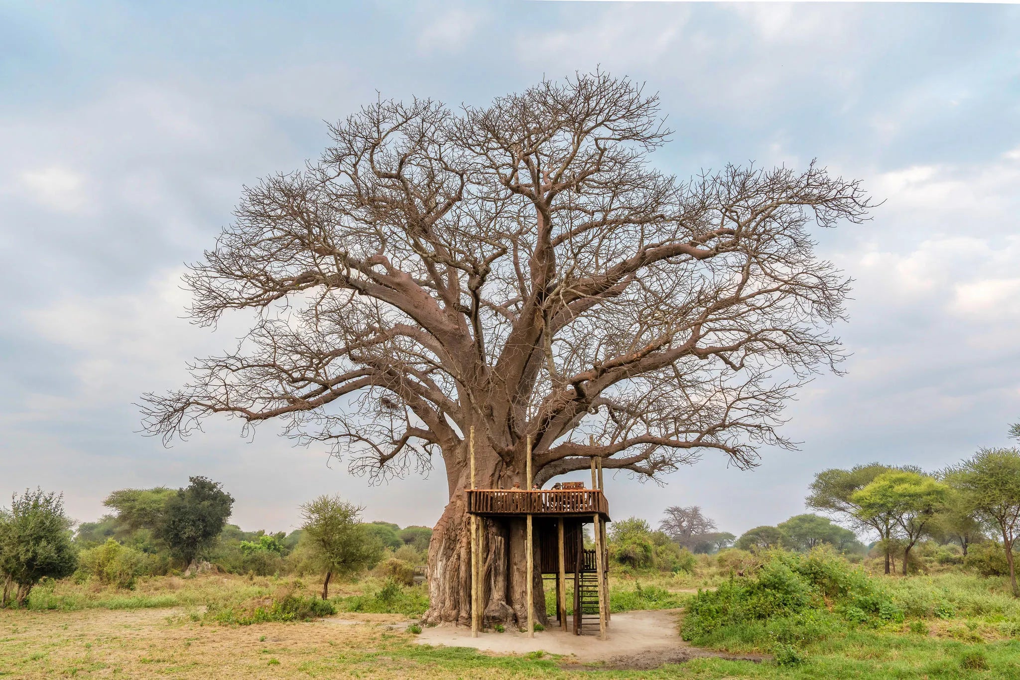 Sundowner on the Baobab Lookout Deck