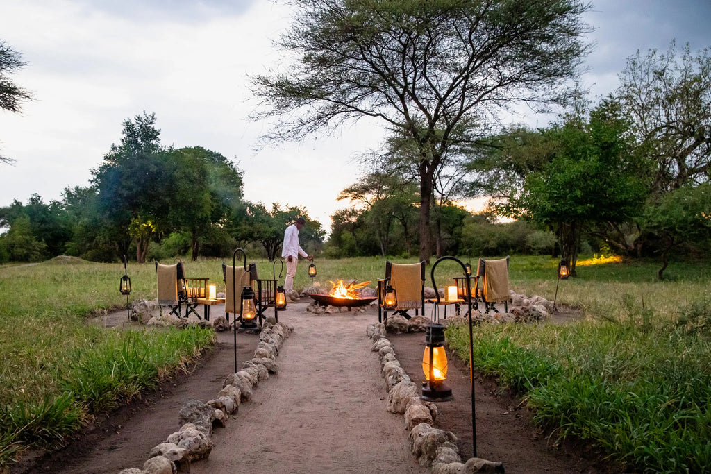 Forest Chem Chem at Forest Chem Chem, Auberge Safari, Chem Chem Concession, Tanzania.