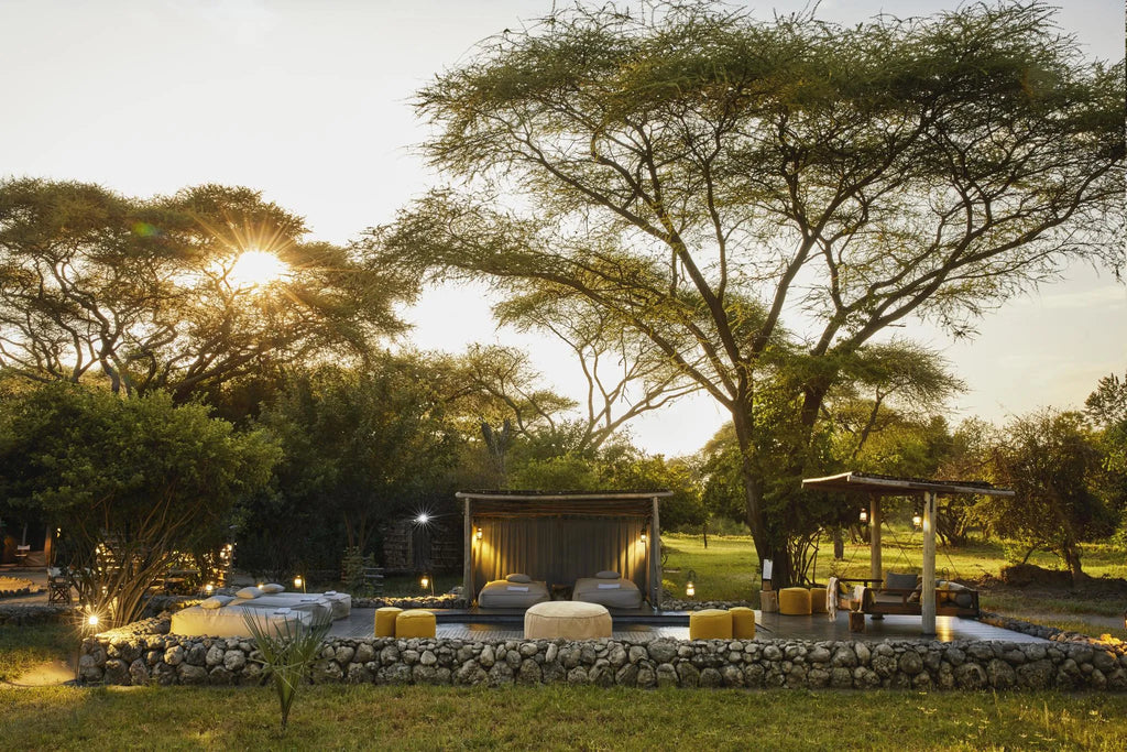 Forest Chem Chem at Forest Chem Chem, Auberge Safari, Chem Chem Concession, Tanzania.