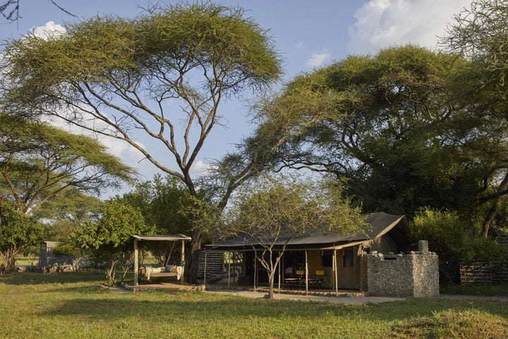 Forest Chem Chem, Auberge Safari
