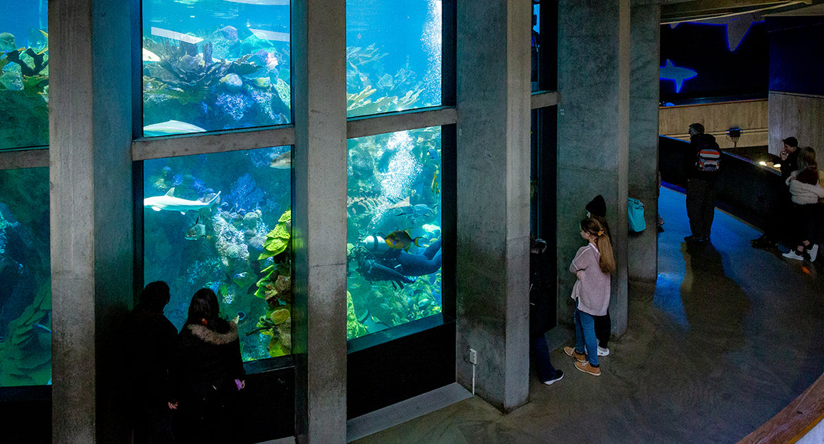 New England Aquarium