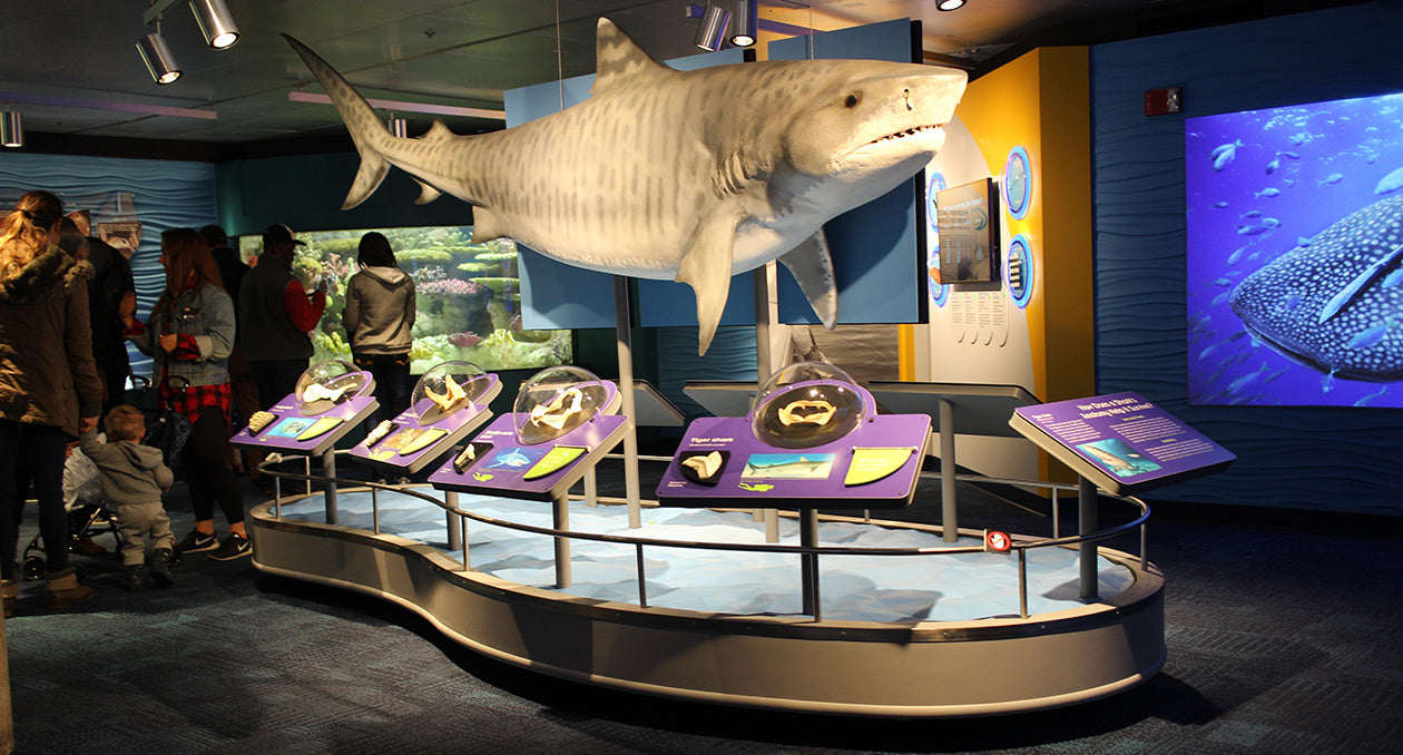 New England Aquarium