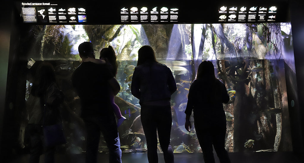 New England Aquarium