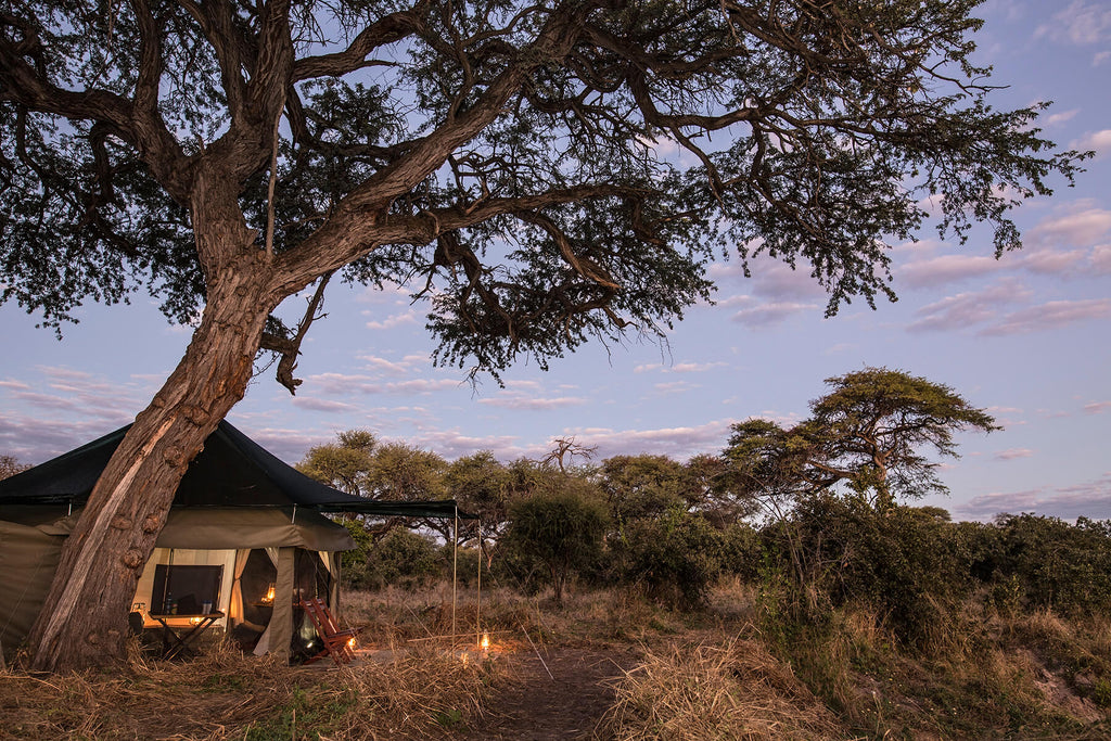 Barclay Stenner's Famous Hexagon Tents