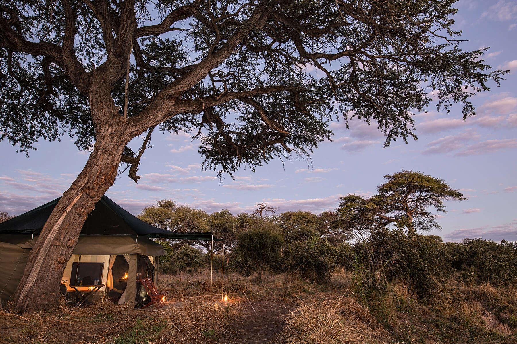 Barclay Stenner's Famous Hexagon Tents