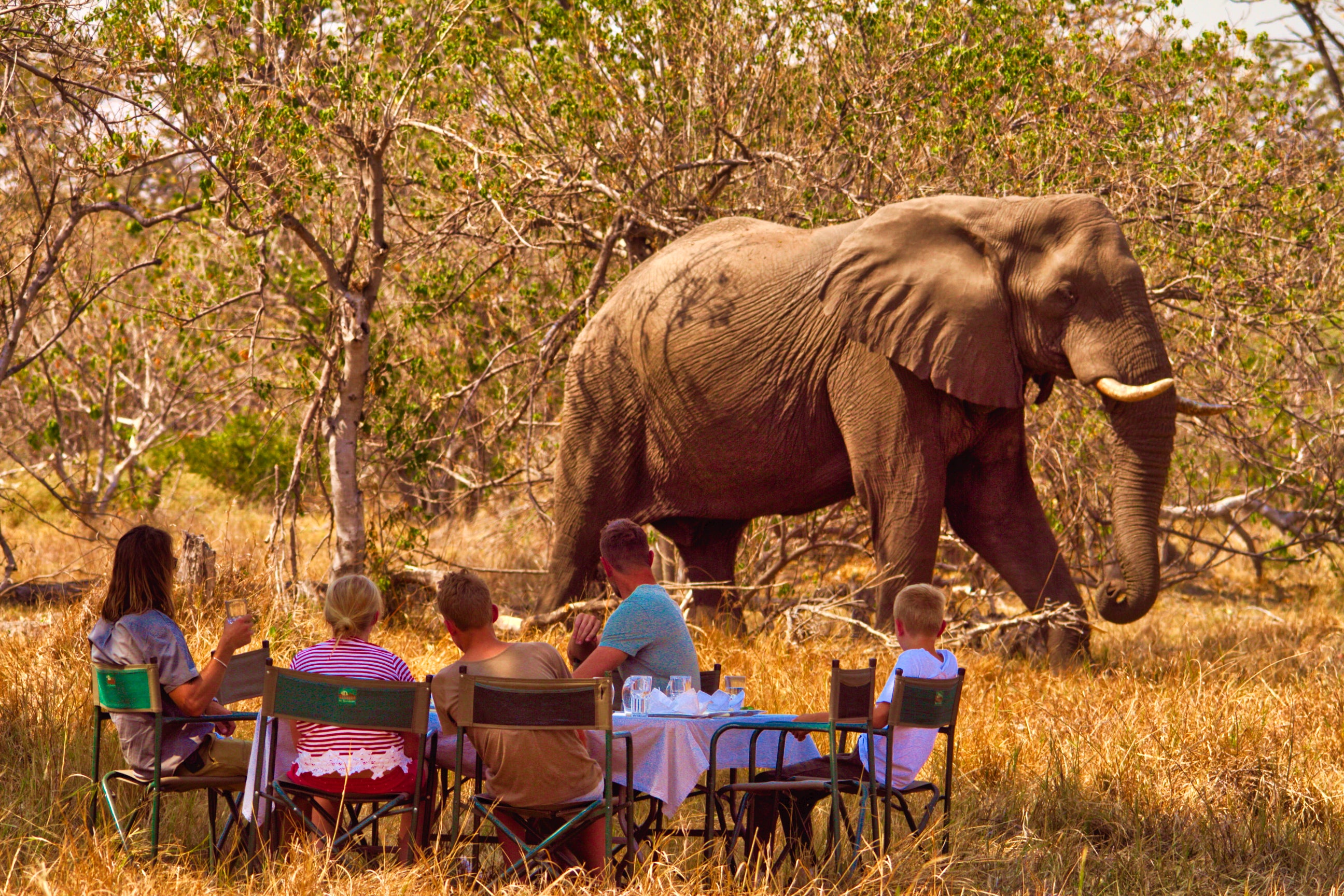 Lunch on Safari