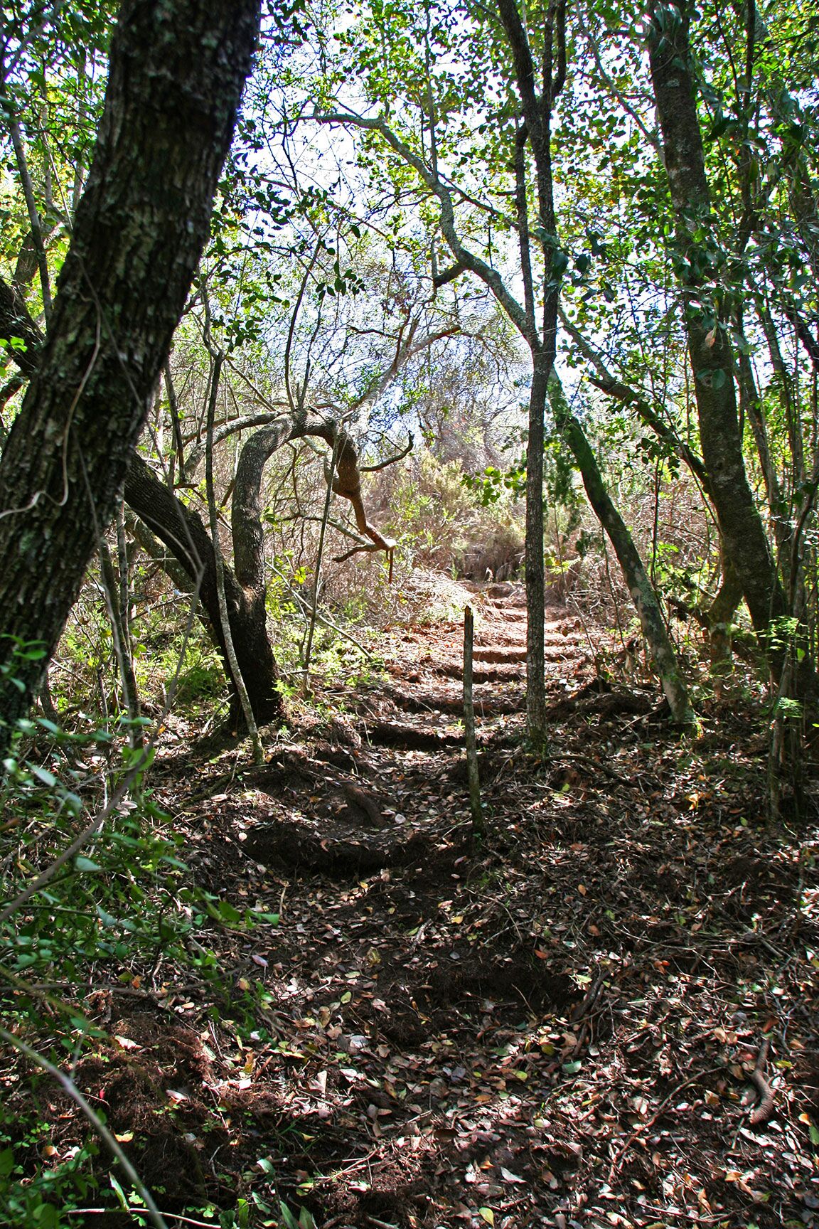 Masonwabe Retreats