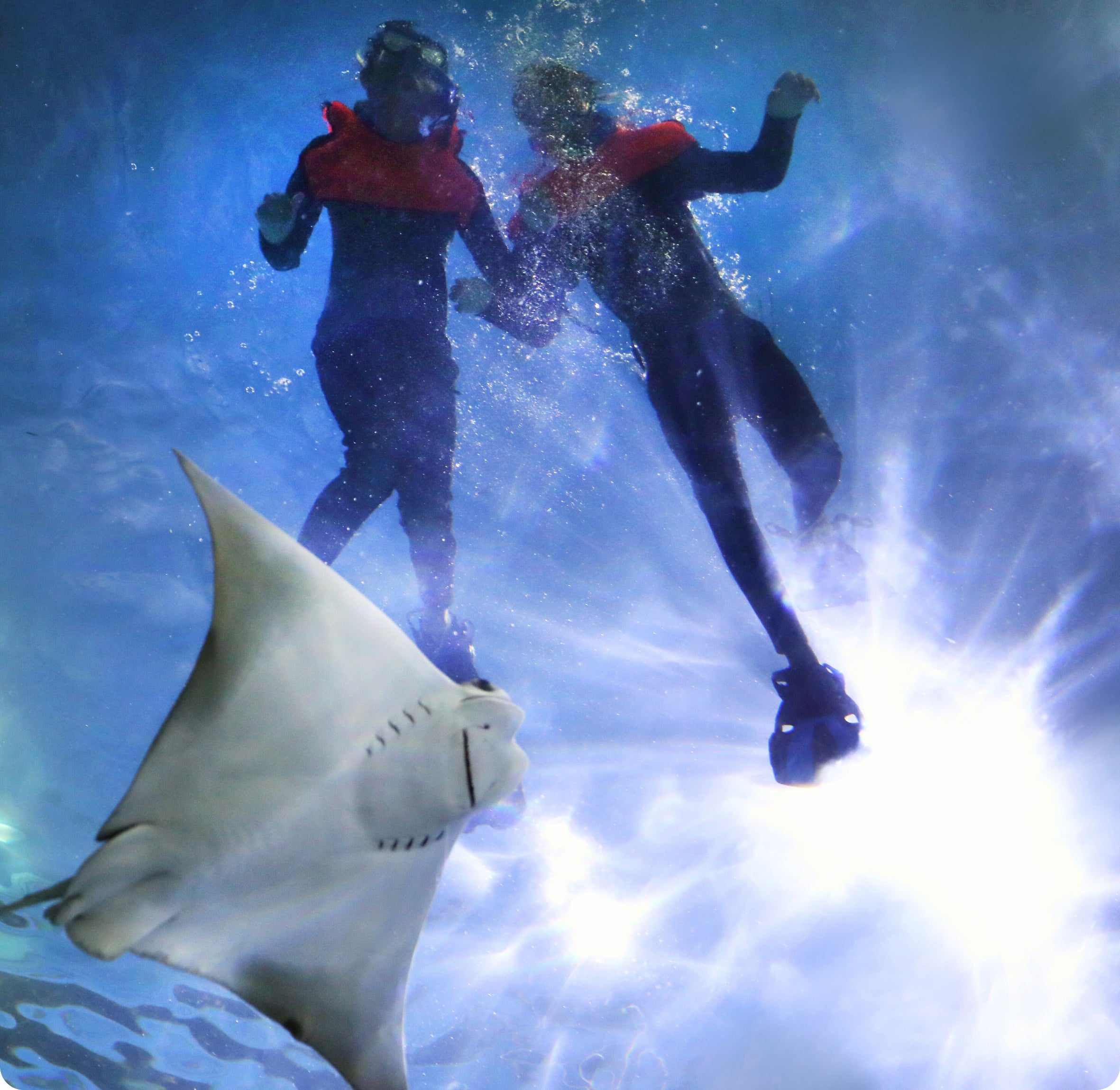 Audubon Aquarium