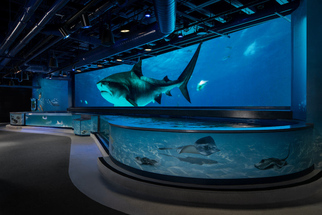 Audubon Aquarium