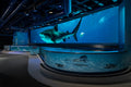 Audubon Aquarium