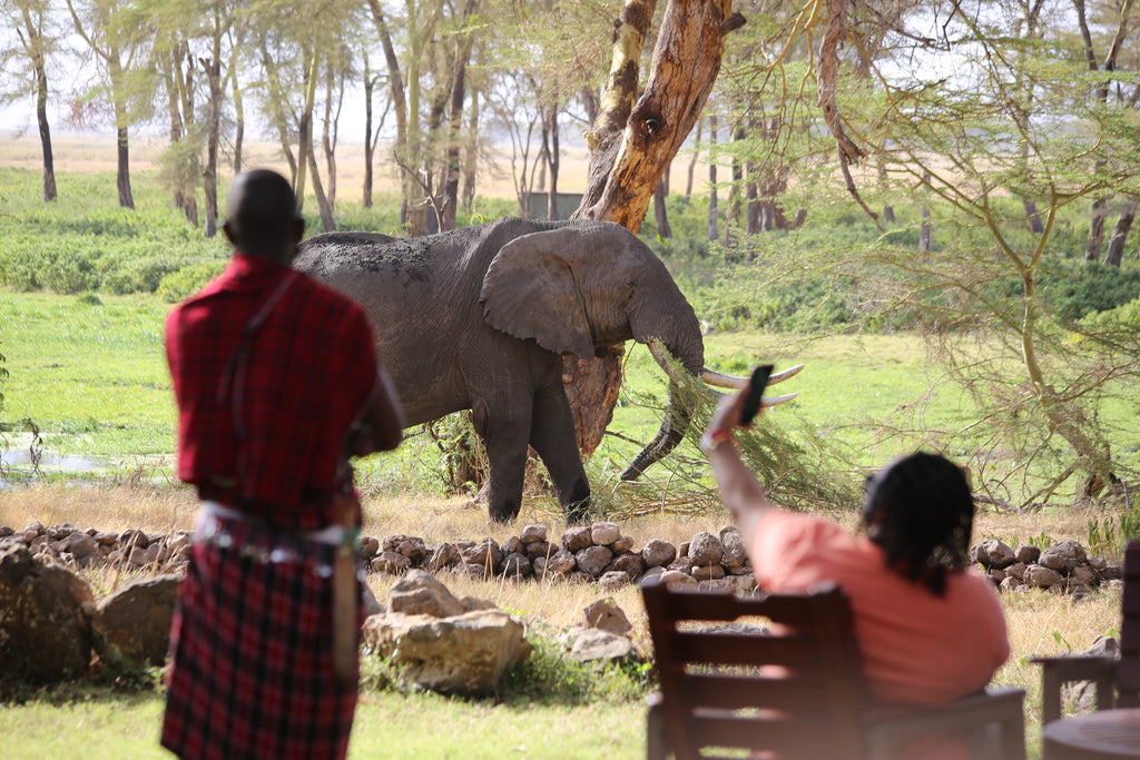 Amboseli Waterhole