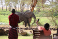 Amboseli Waterhole